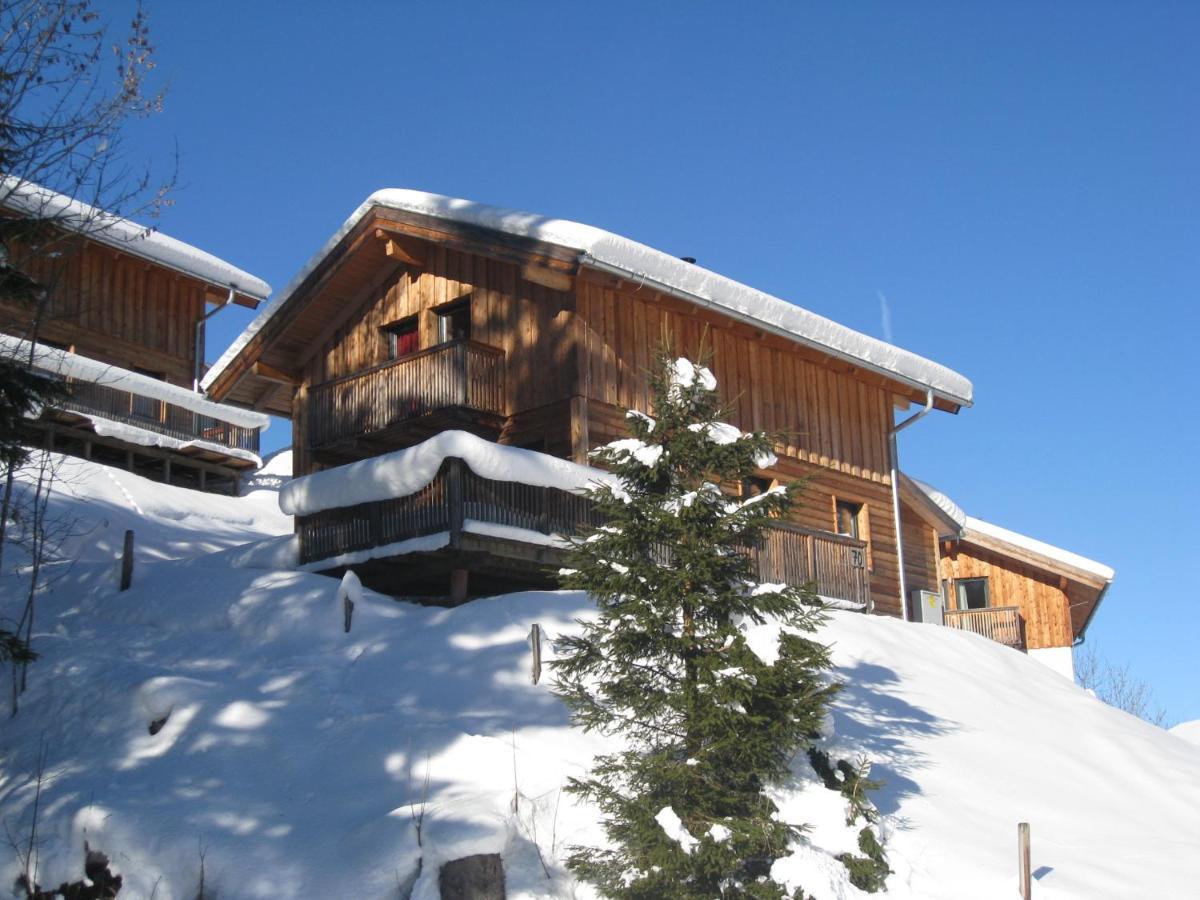 Alpenferienhaus Dachstein-West Annaberg im Lammertal Buitenkant foto