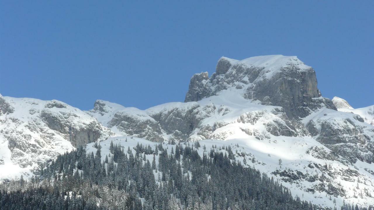 Alpenferienhaus Dachstein-West Annaberg im Lammertal Buitenkant foto