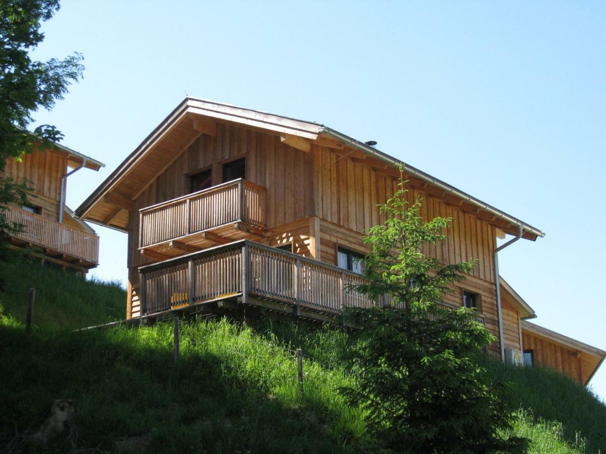 Alpenferienhaus Dachstein-West Annaberg im Lammertal Buitenkant foto
