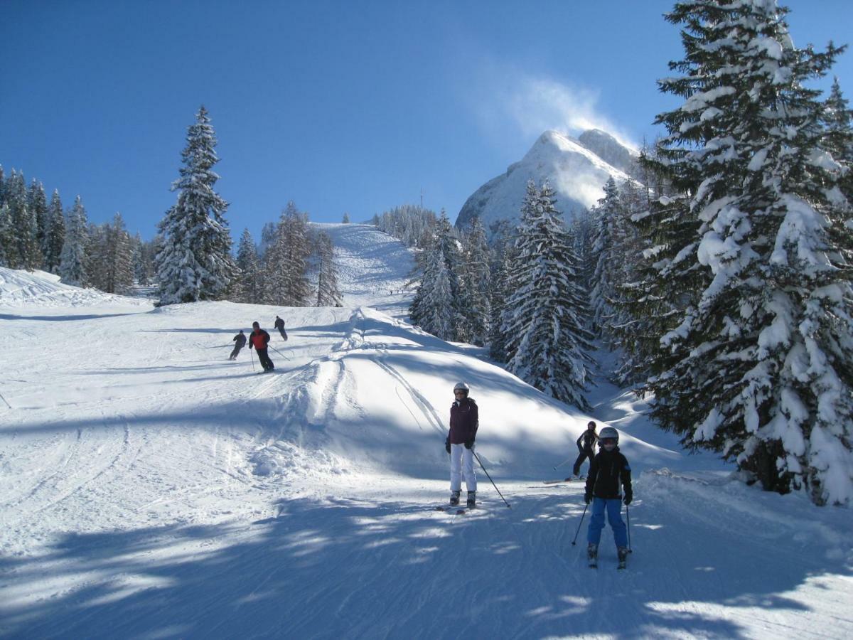 Alpenferienhaus Dachstein-West Annaberg im Lammertal Buitenkant foto